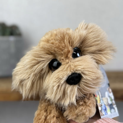Keel Toys Wheaten Terrier Soft Toy - Big Eyed Fluffy  Dog Soft Toy Pulush 8"