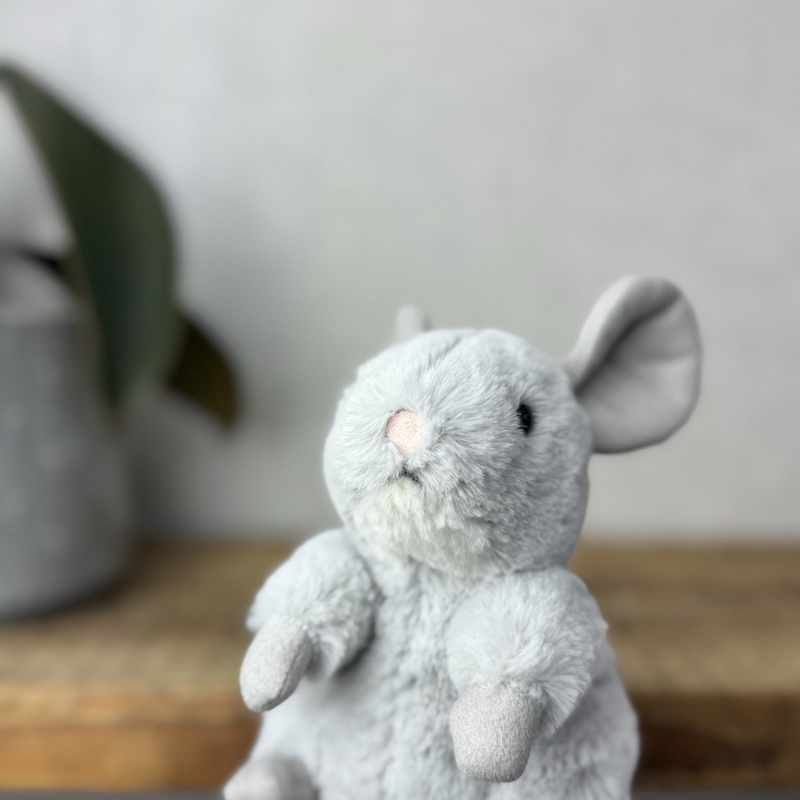 Jellycat Misty Chinchilla - Silver Grey Small Chinchilla Beanie Retired 6” (#2)