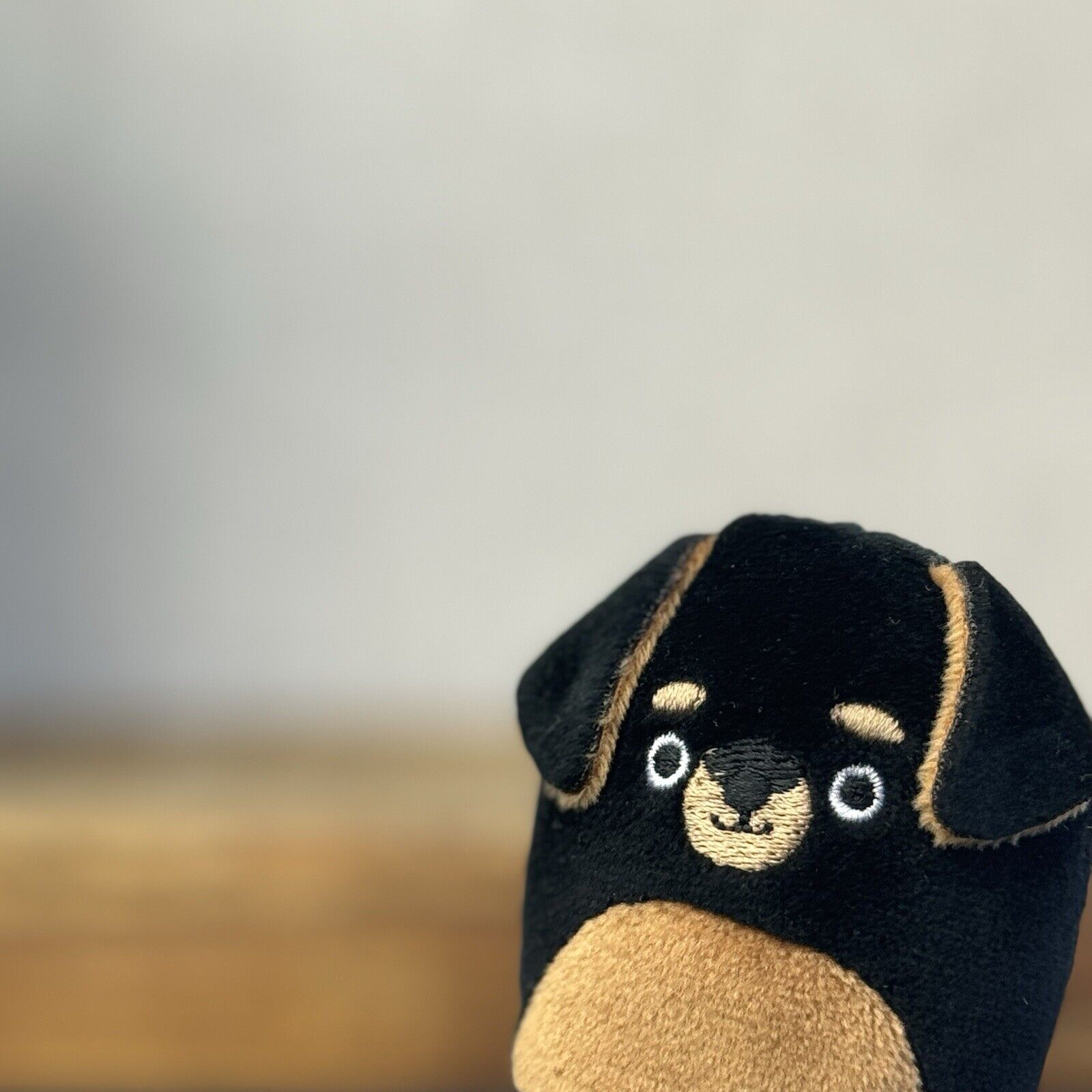 Squishmallow Squishville - Matea Rottweiler - Black & Brown Tiny Dog Squish 2"