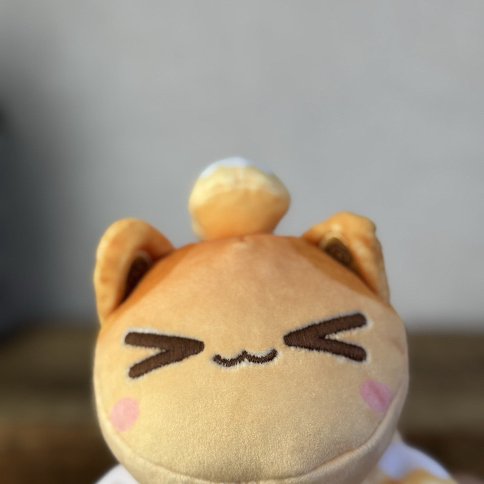 Aphmau MeeMeows - Cinamon Roll Cat Plush Squish Cat Kawai Collectible 5"