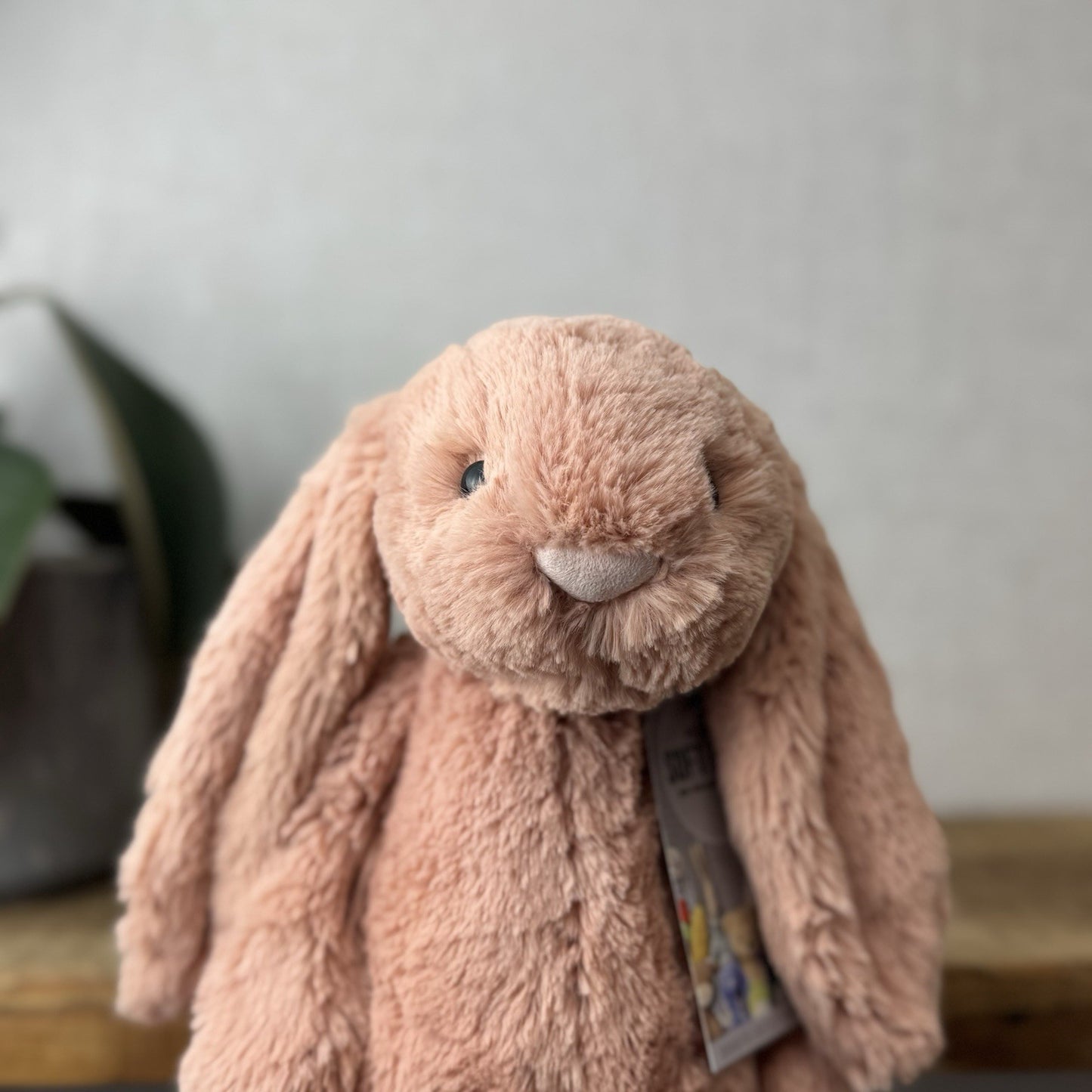 Jellycat Medium Bashful Apricot Bunny - Peach Pale Pink Bashful Jellycat 12”