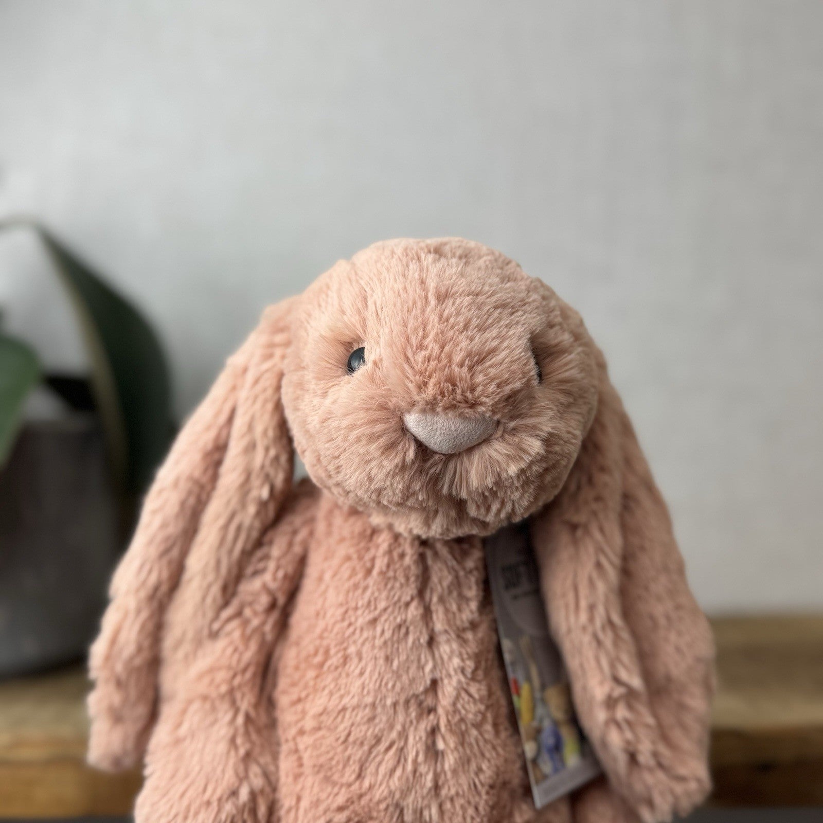 Jellycat Medium Bashful Apricot Bunny - Peach Pale Pink Bashful Jellycat 12”