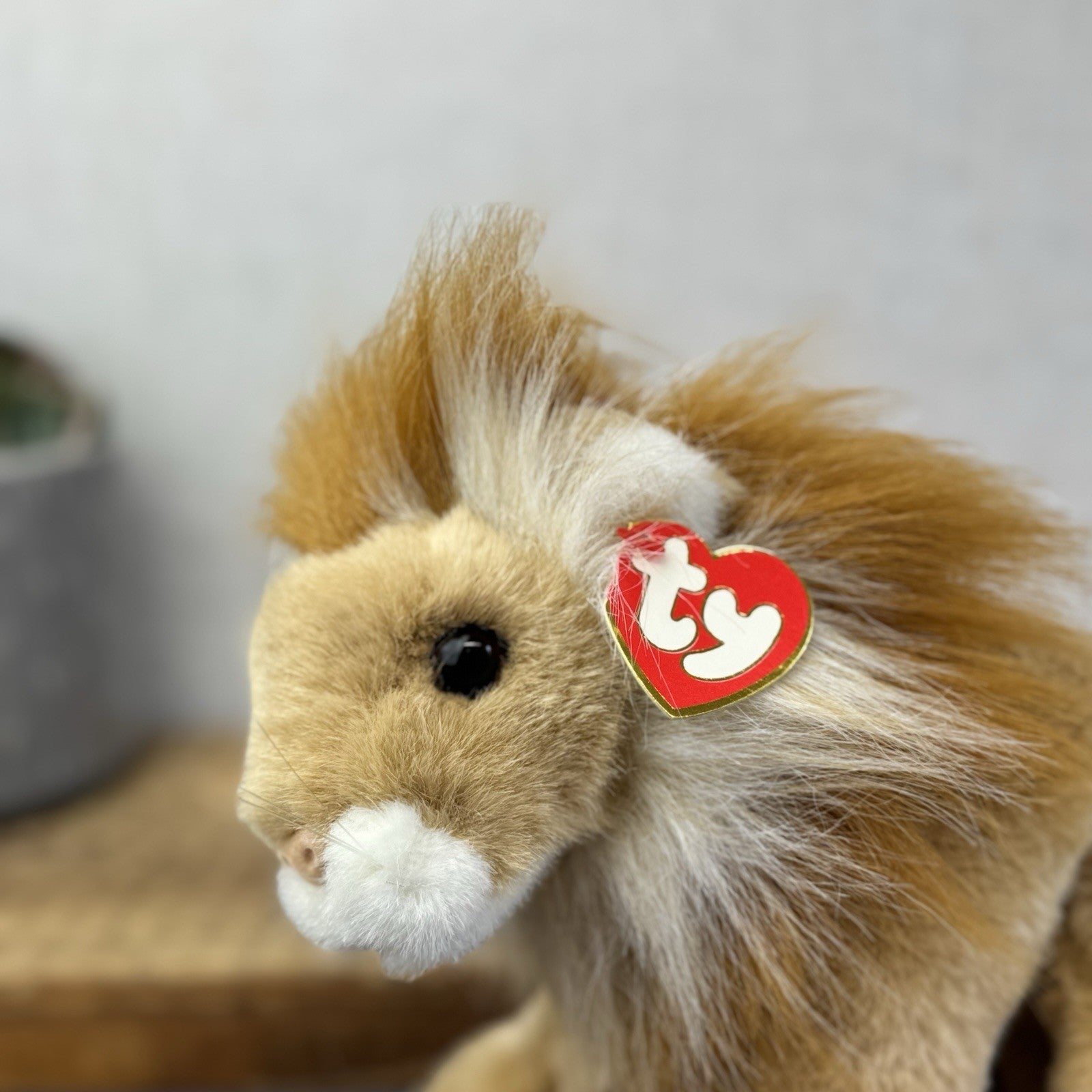 TY Classic Sahara - Beanie Baby Large Lion Wild Cat Soft Toy Pristine Tags 8"