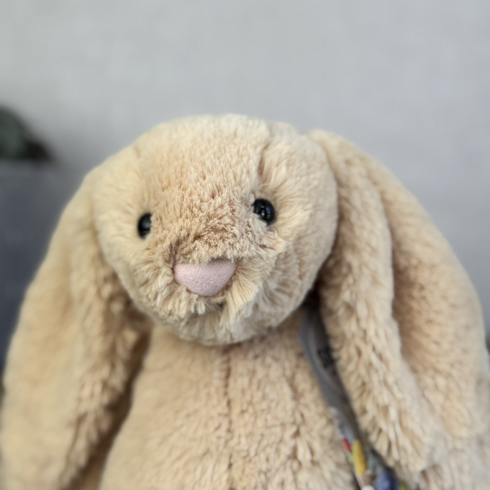 Jellycat Medium Bashful Honey Bunny - Retired Honey Bunny Plush Rabbit 12"