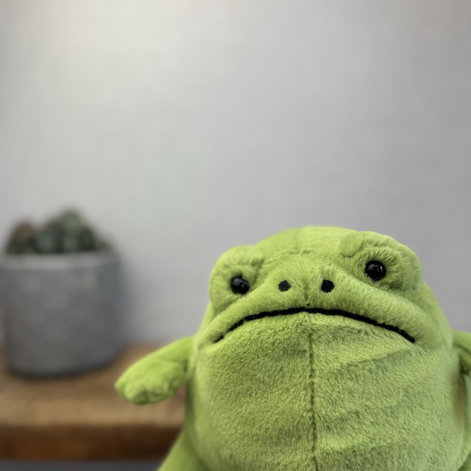 Jellycat Ricky Rain Frog - Green Soft Toy Frog Beanie Plush Medium 7"