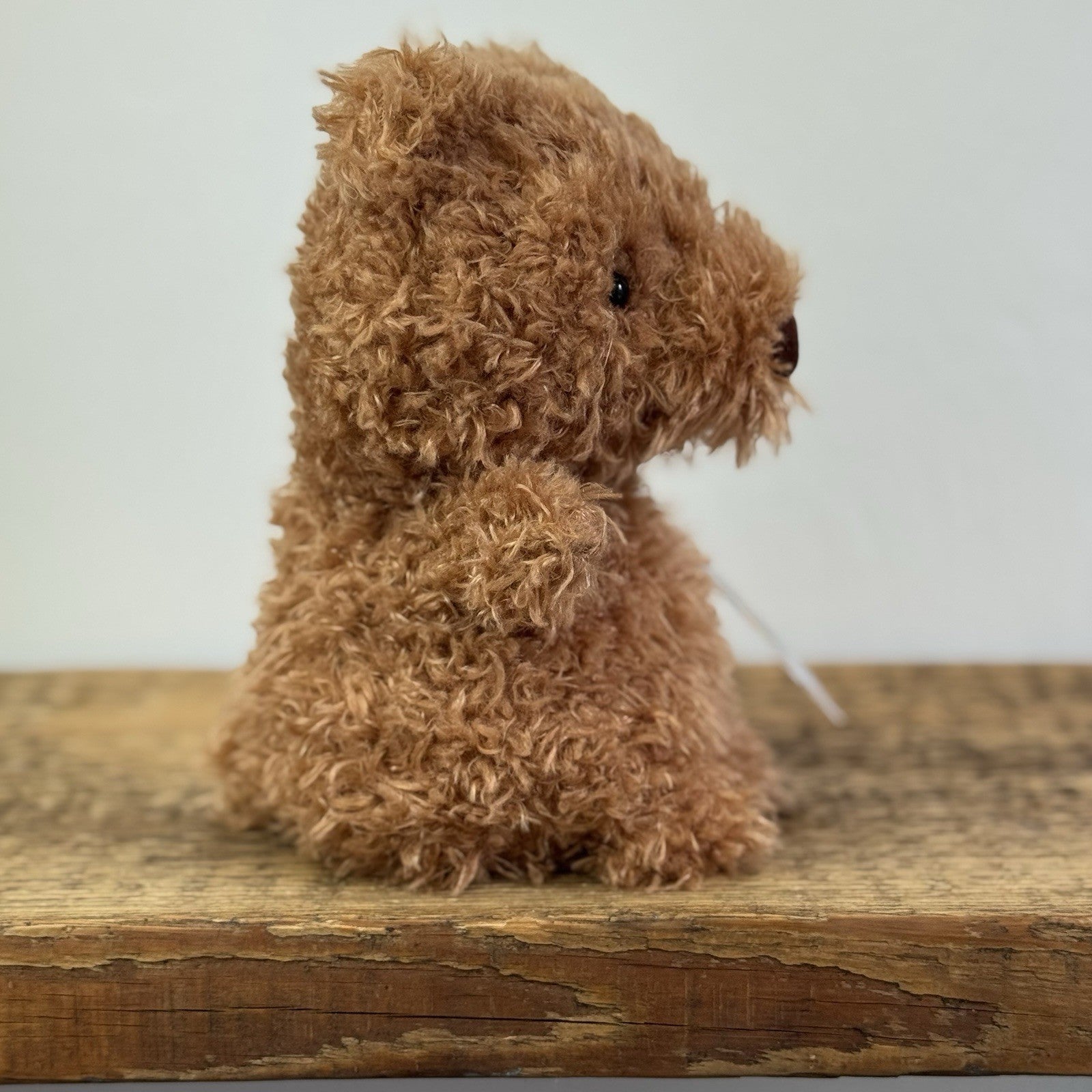 Jellycat Little Bear - Retired Brown Bear Curly Hair Beanie Soft Toy 7" 