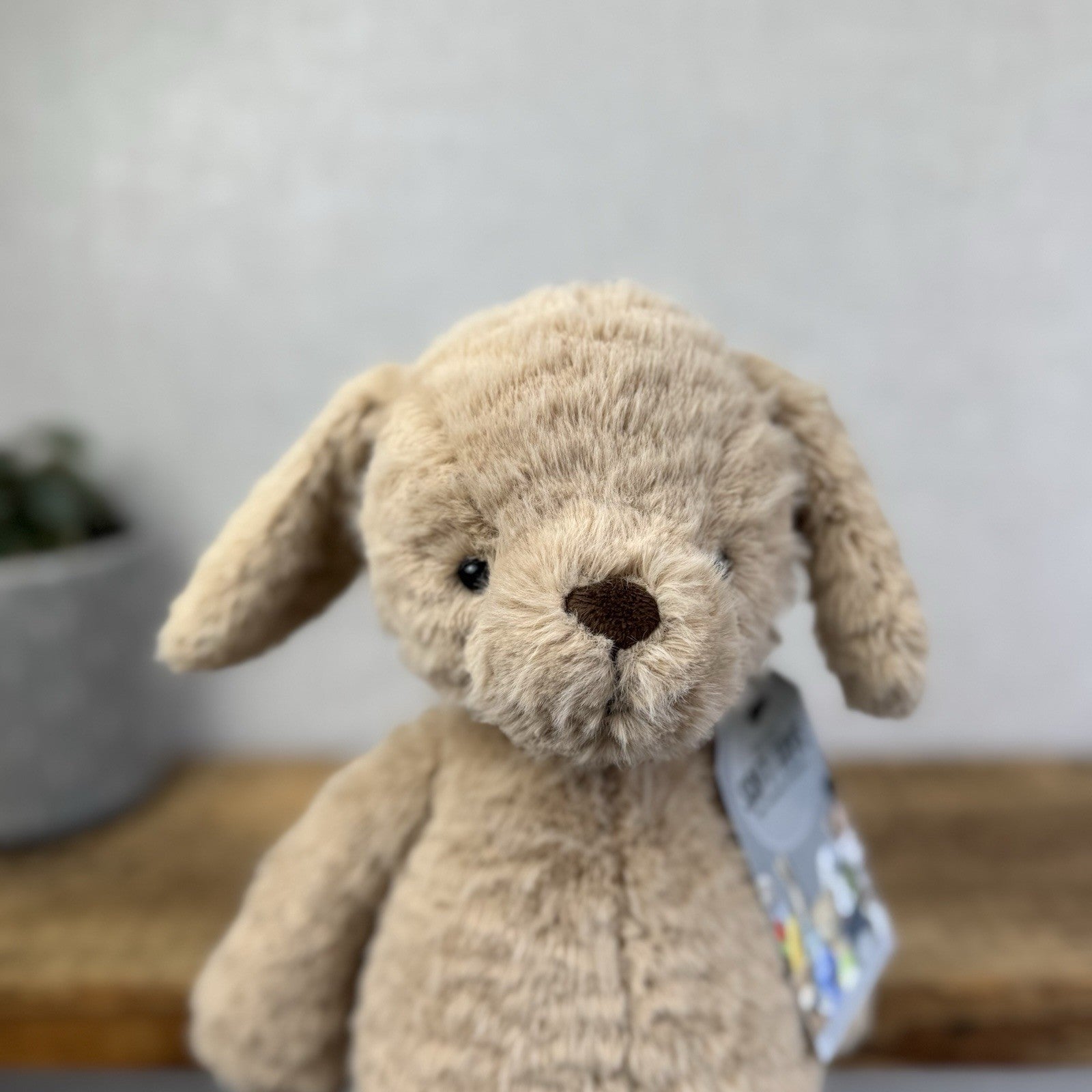 Jellycat Rolie Polie Puppy - Textured Beige Retired Puppy Soft Toy NWOT 12"