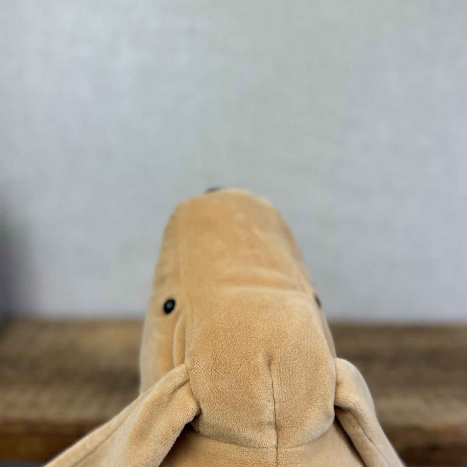 Jellycat Large Mellow Mallow Dog - Beige/Sand Squishy Dog Soft Beanie Toy 12"