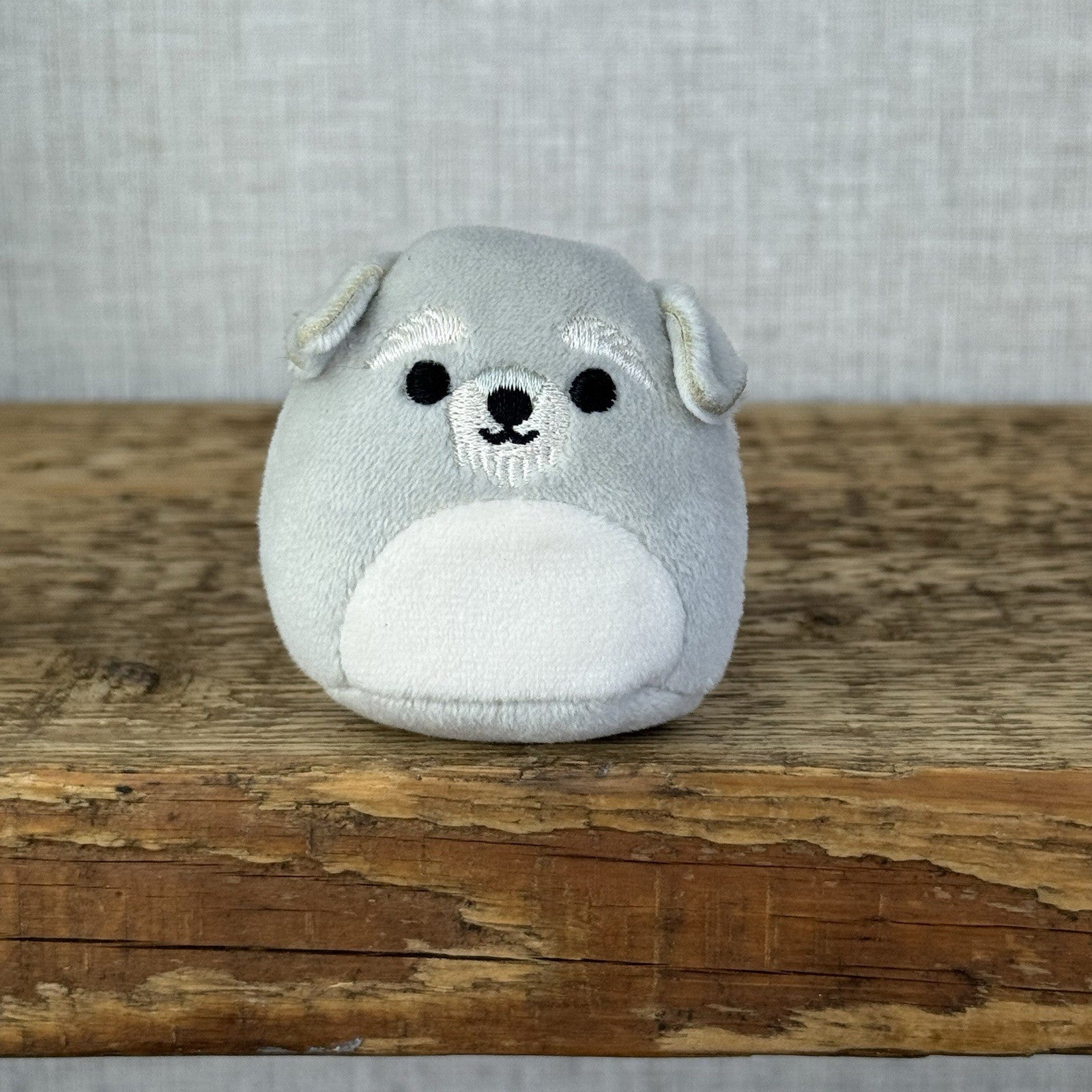 Squishmallow Squishville - Shaun Shnauzer Grey Dog Mini 2" (Multi Buy Discount)