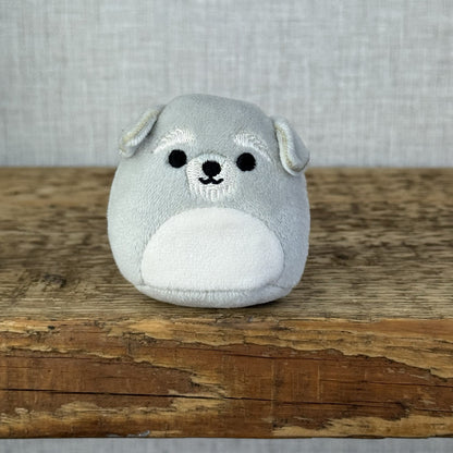 Squishmallow Squishville - Shaun Shnauzer Grey Dog Mini 2" (Multi Buy Discount)