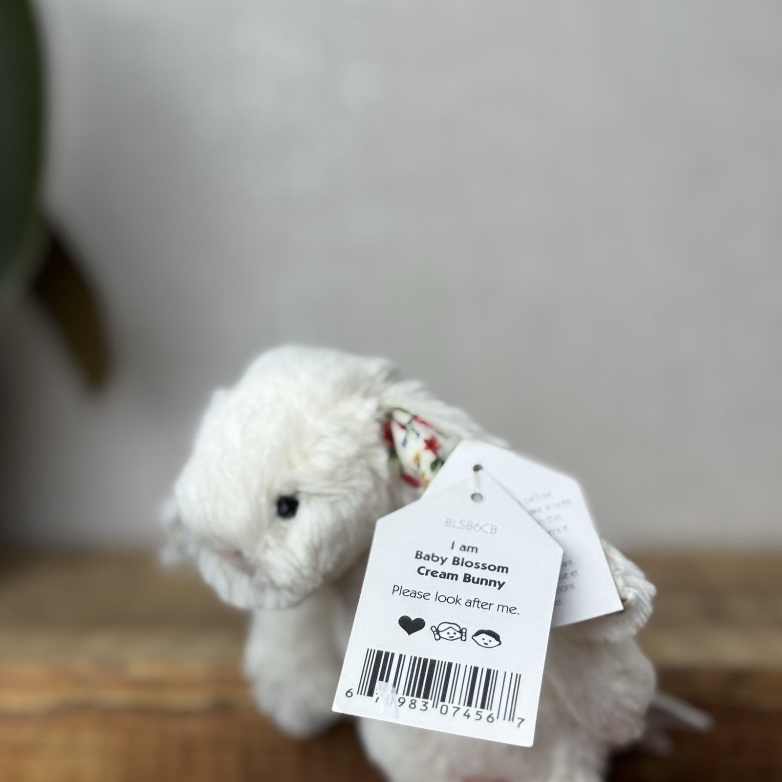 Jellycat Baby Cream Blossom Bashful Bunny - Baby Cream Rabbit New With Tags 5”