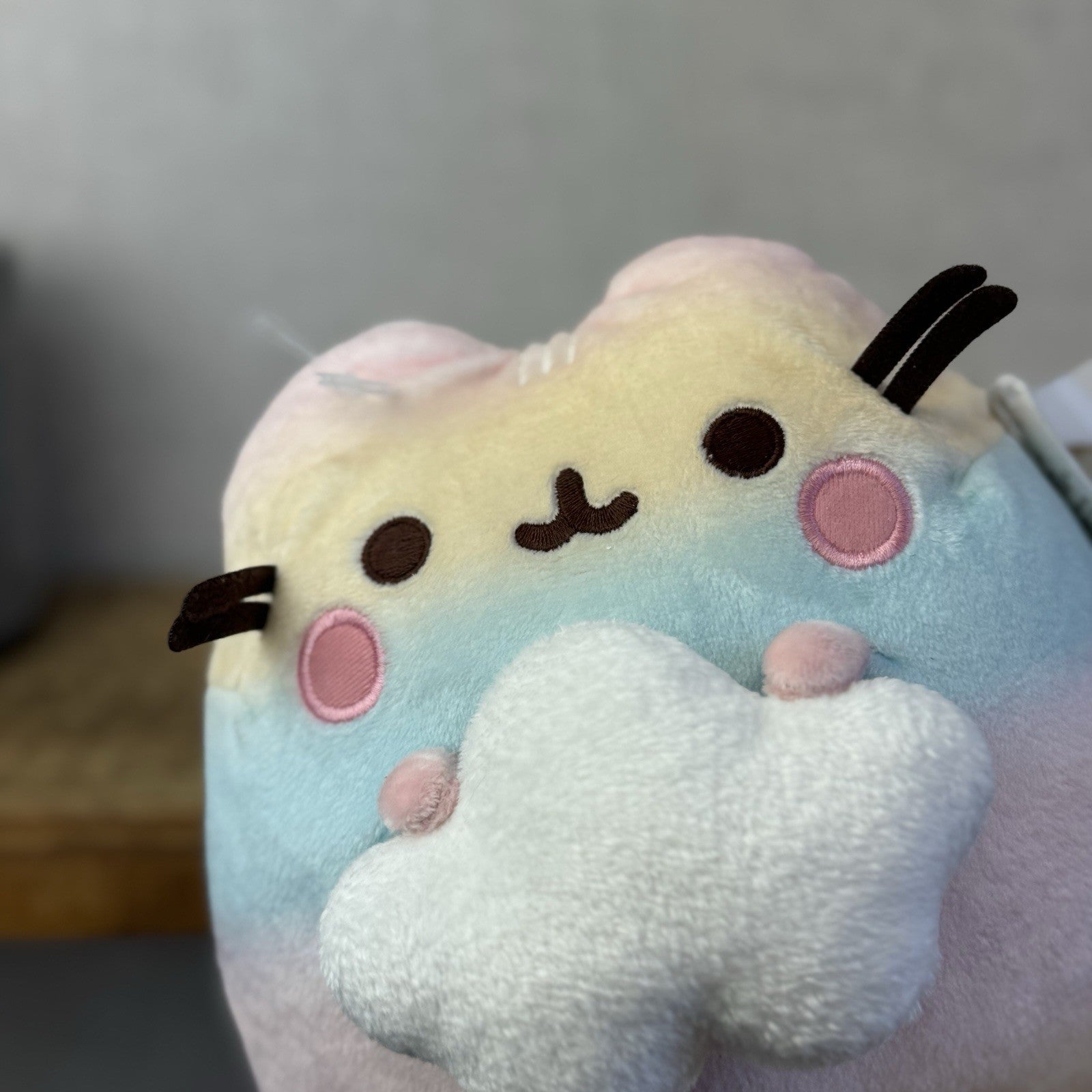 Gund Pusheen Cat - Rainbow Ombre Pusheen With Cloud - Partial Tag 10"
