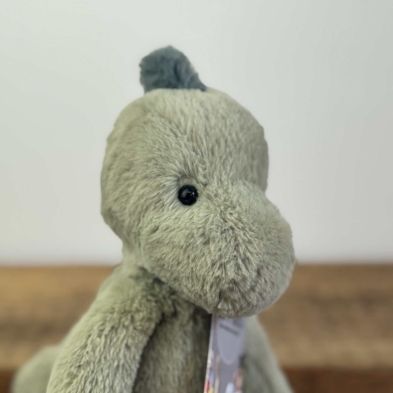 Jellycat Small Boyd Dino - Snugglet Green Super Soft Dinosaur Retired 11"