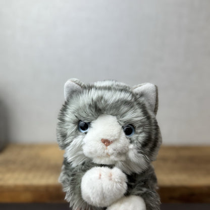 Keel Toys Tabby Cat - Grey Tabby Cat Beanie Plush Blue Eyes (Tag Cut off) Plush