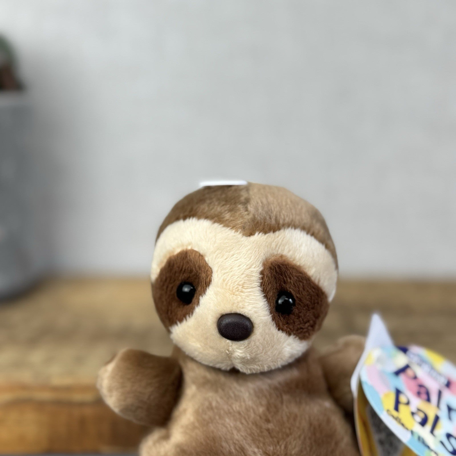 Aurora - Slomo Sloth - Palm Pals Mini Beanbag Plush Mini Sloth Wild Animal New