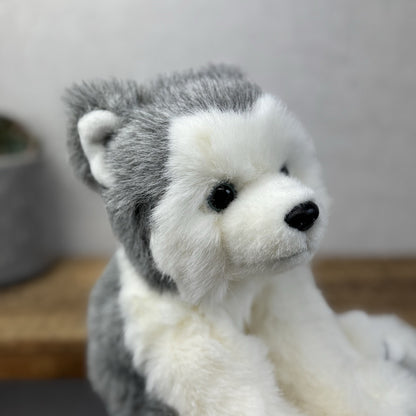 TY Dakota Husky Dog Classic Beanie Babies Soft Toy Pristine New With Tags 10"