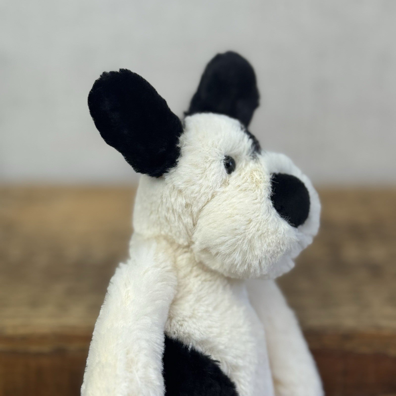 Jellycat Bashful Black & Cream Puppy Dog - Small Beanie Dog Retired Plush 8”