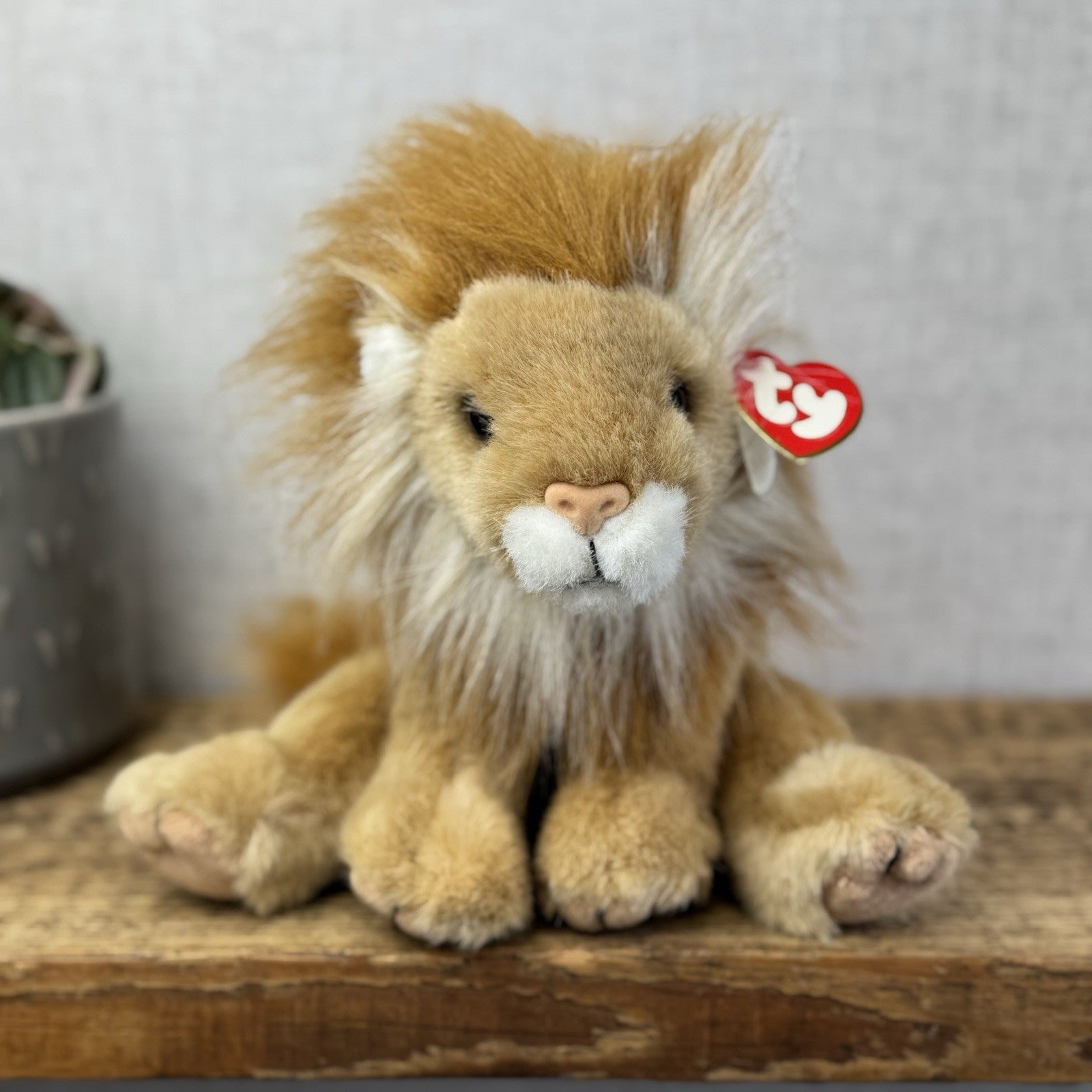 TY Classic Sahara - Beanie Baby Large Lion Wild Cat Soft Toy Pristine Tags 8"