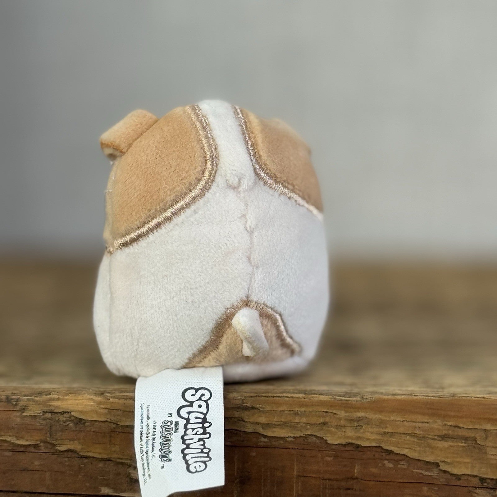Squishmallow Squishville - Reginald The Corgi - Mini Beige/Cream Dog Soft Toy 2"