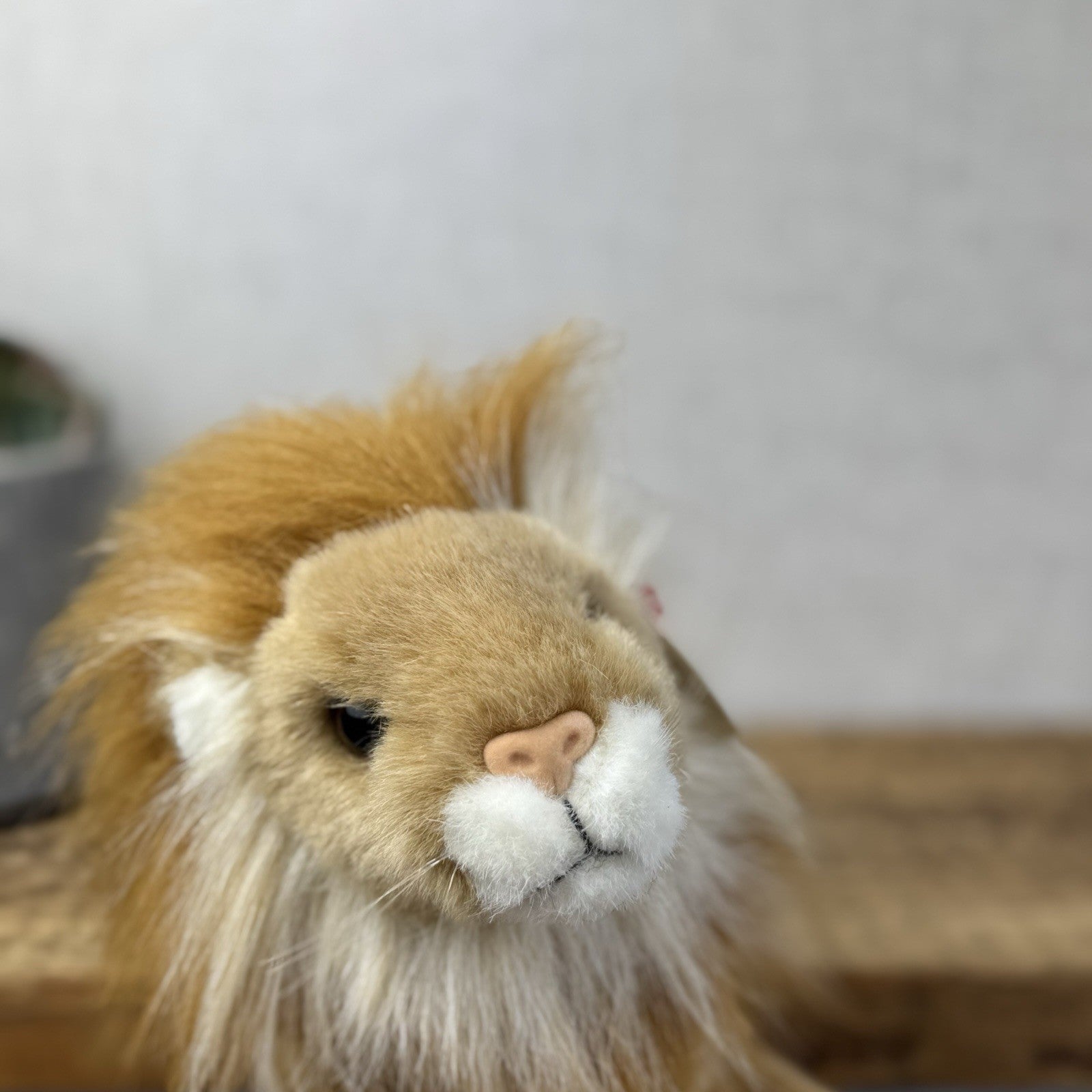 TY Classic Sahara - Beanie Baby Large Lion Wild Cat Soft Toy Pristine Tags 8"