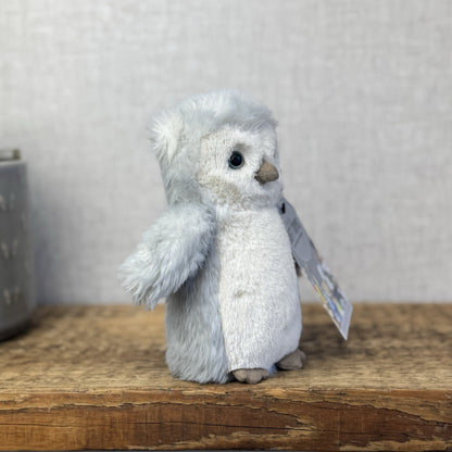 Jellycat Small Bashful Owl Chick - Birch Grey Colouring Owl Soft Toy Small 6"
