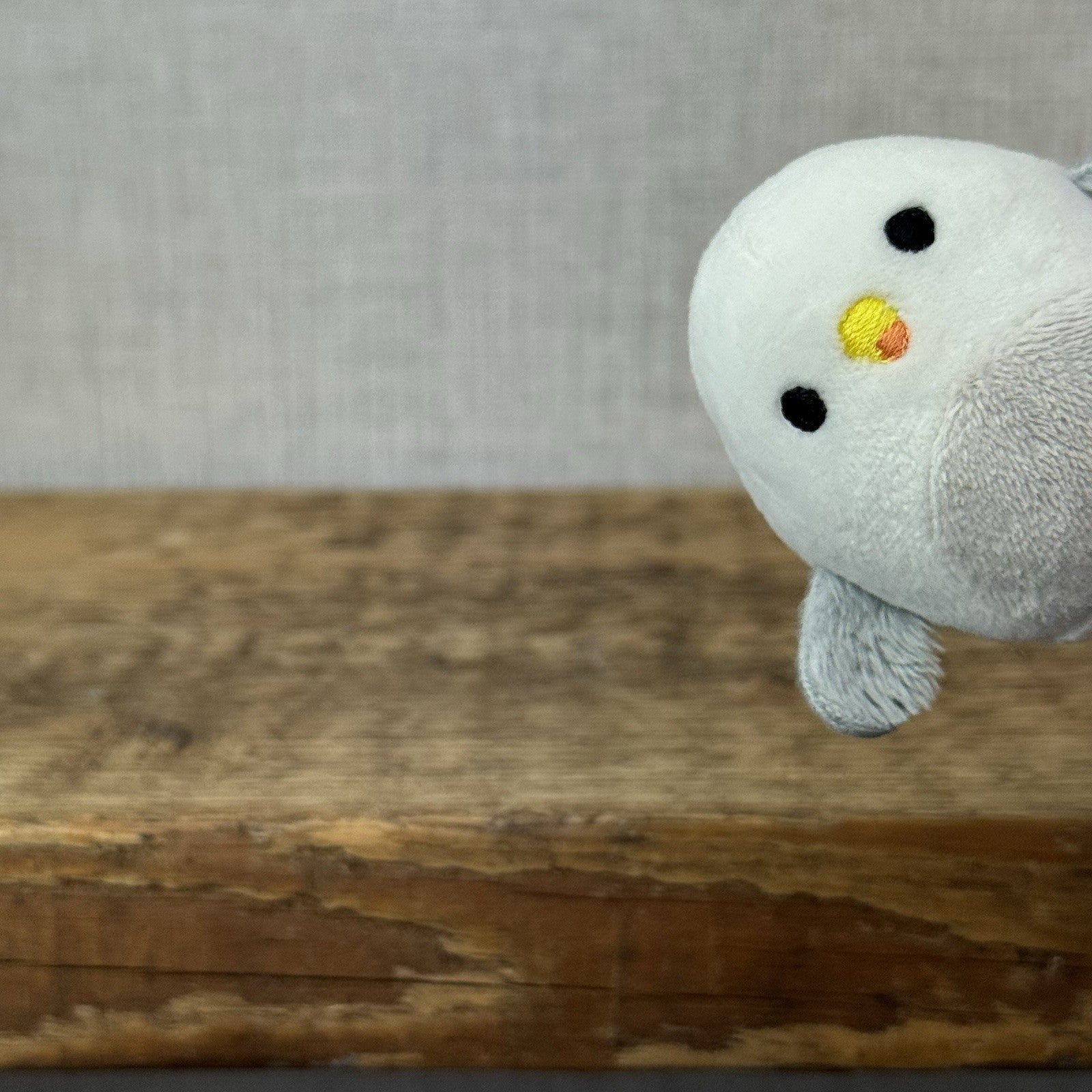 Squishmallow Squishville - Steve The Seagul White/Grey Mini (Multi Buy Discount)
