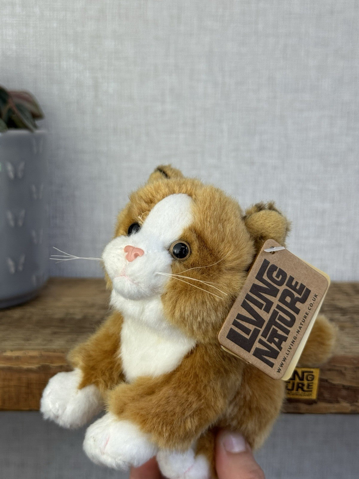 Living Nature Soft Toy Cat (Kitten) Mini Ginger Cat Kitten New With Tags 5"