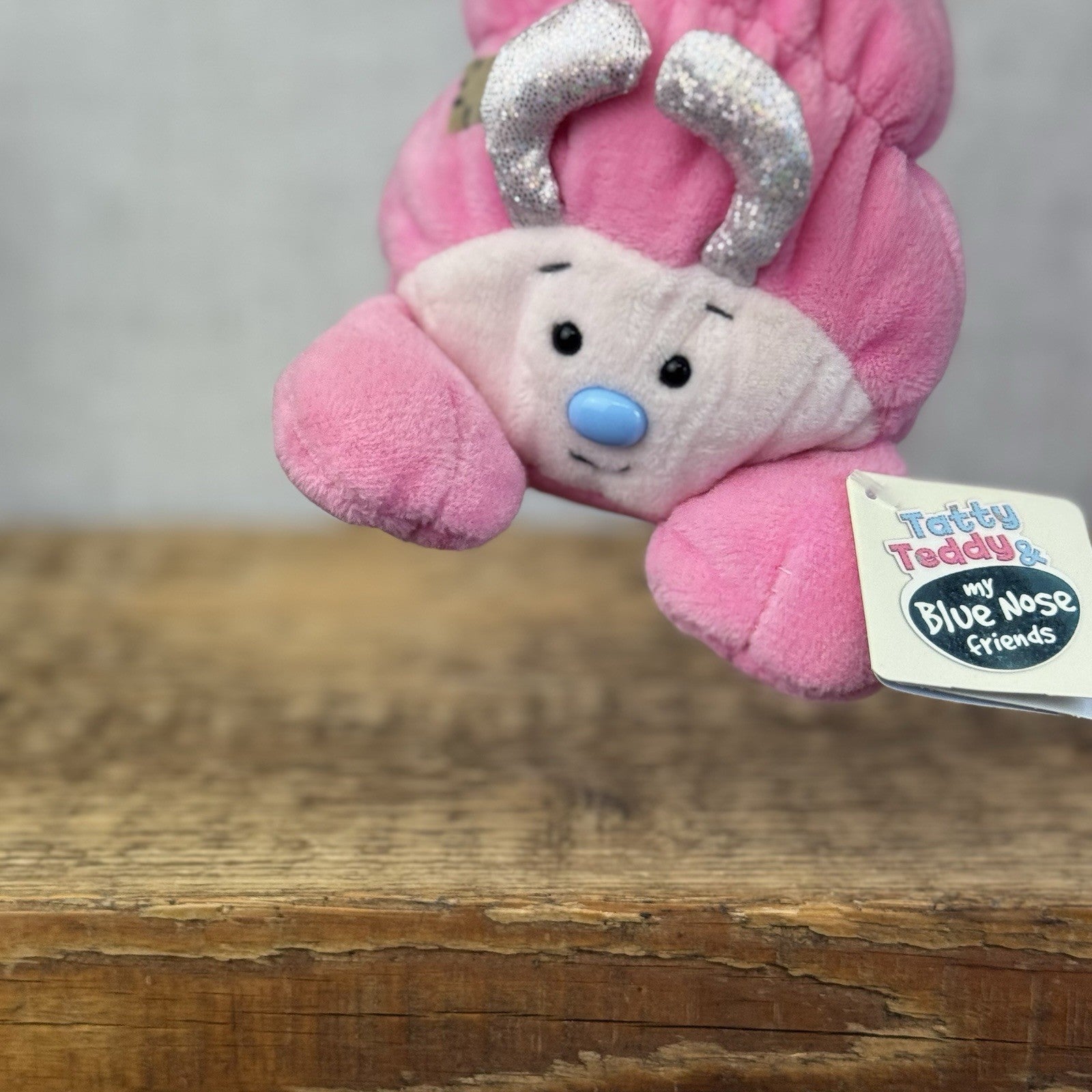 Blue Nose Friends Sandy #33 Pink Hermit Crab