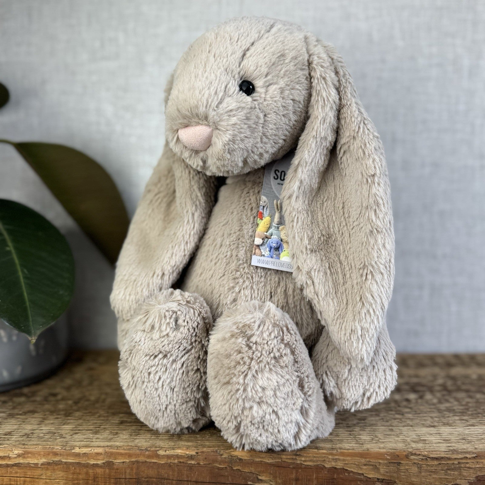 Jellycat Large Bashful Beige Bunny Rabbit - Old Style Large Beige Bunny 16”