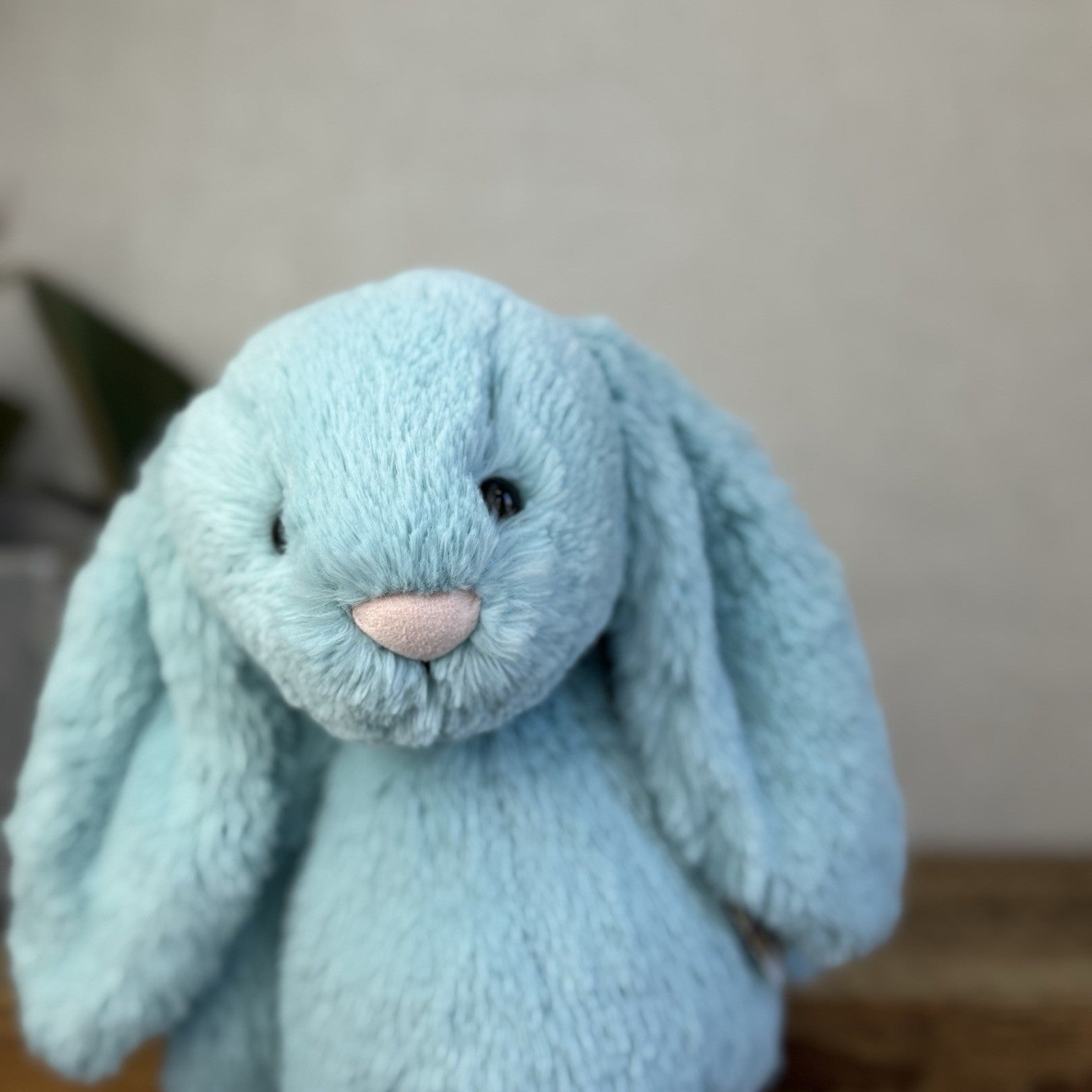 Jellycat Medium Bashful Aqua Bunny - Aqua Bunny Rabbit Bright Blue Medium 12”