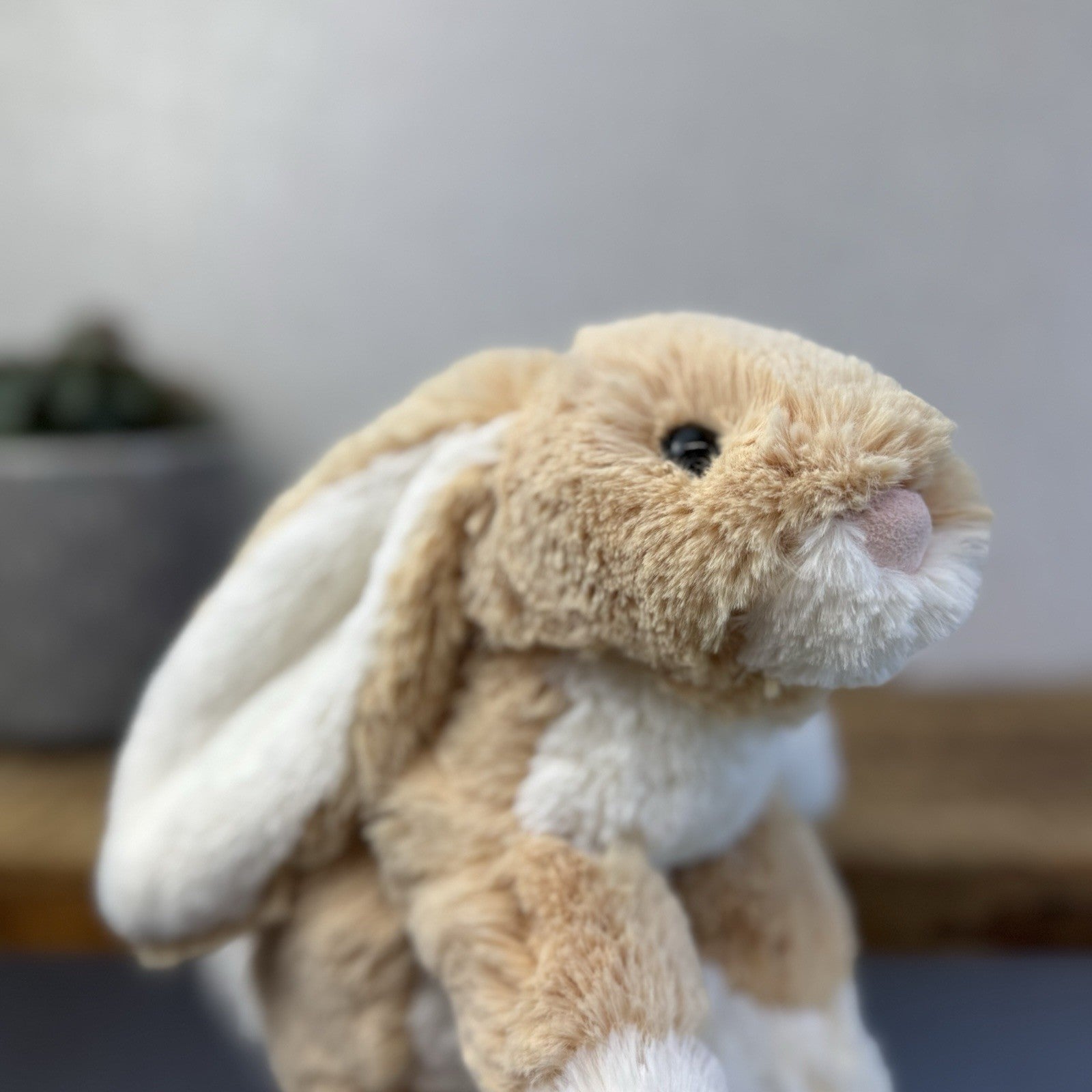 Jellycat Loppy Oatmeal Bunny - John Lewis Exclusive New With Tags Medium 12"
