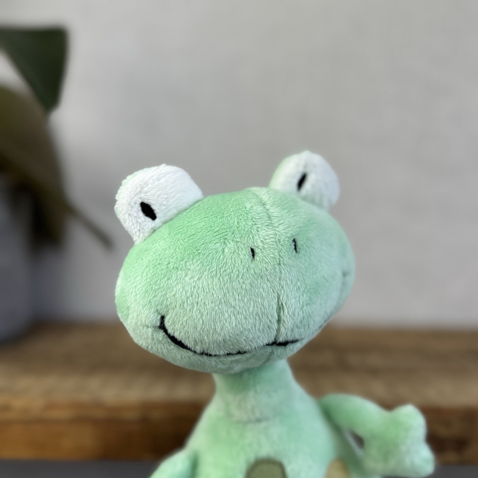 Jellykitten Bing Bong Frog - Soft Toy Frog Vintage Retired With Tags Small 10”