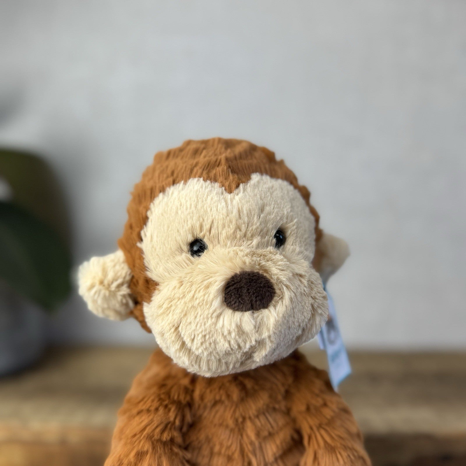 Jellycat Fuddlewuddle Monkey - Rust Brown Monkey Textured Beanie Soft Toy 9"