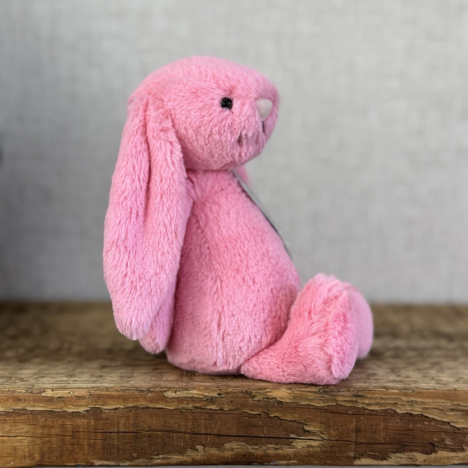 Jellycat Small Bashful Sorbet Bunny - Soft Pink Rabbit Retired Jellycat 8" (#2)