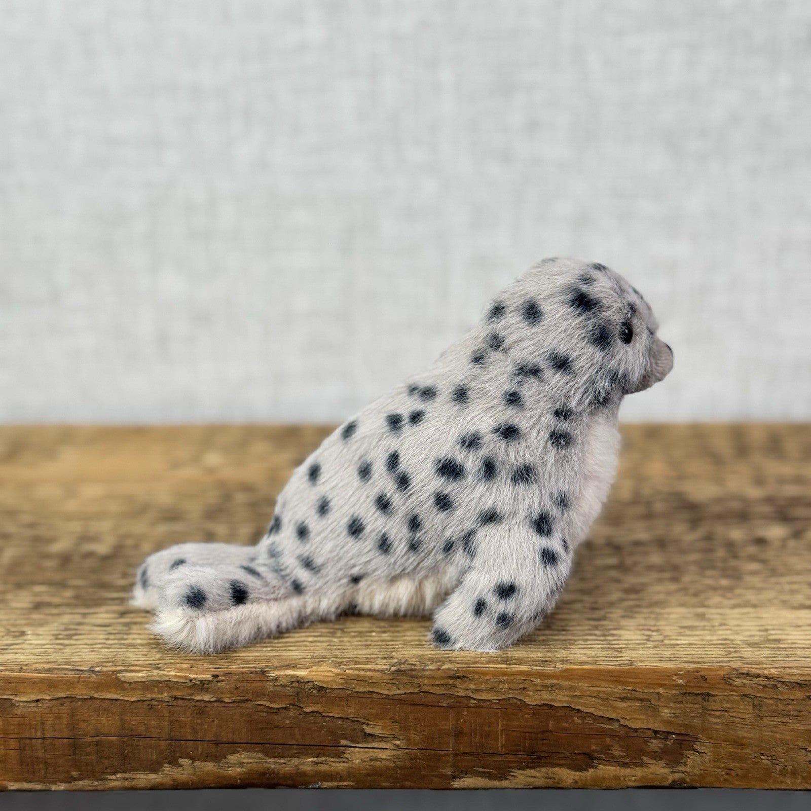 Jellycat Nauticool Spotty Seal - Tiny Fluffy Grey Seal Soft Beanie Pocket Pal