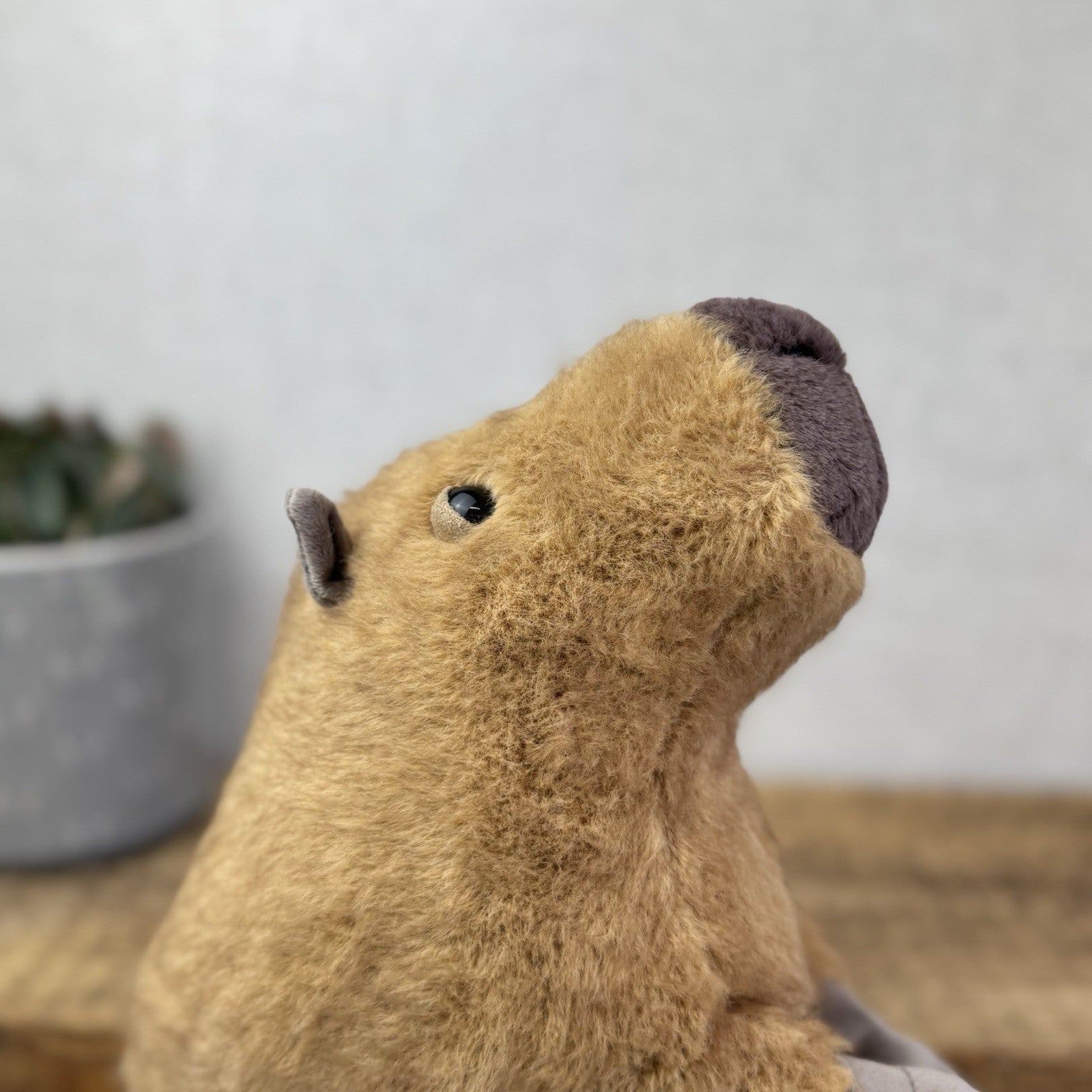 Jellycat Clyde Capybara - New With Tags Capybara Soft Toy Retired 10"