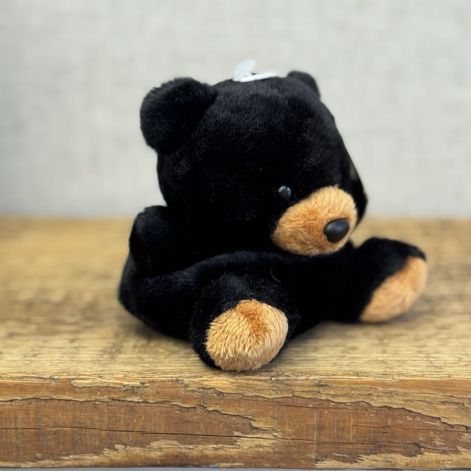 Aurora - Palm Pals Mini Beanbag Plush Sleepy Bear - Small Beanie Black Bear Cub
