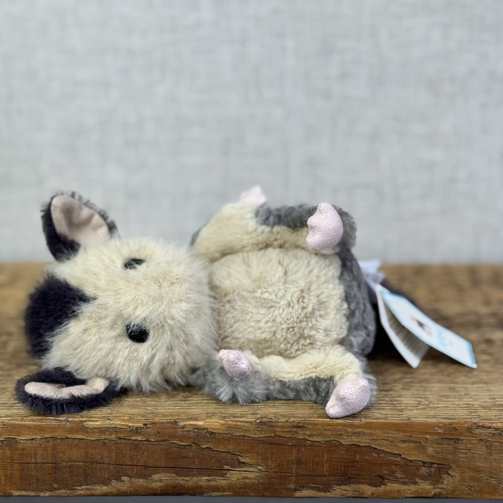 Jellycat Lolly Sugar Glider 5.5" NWT