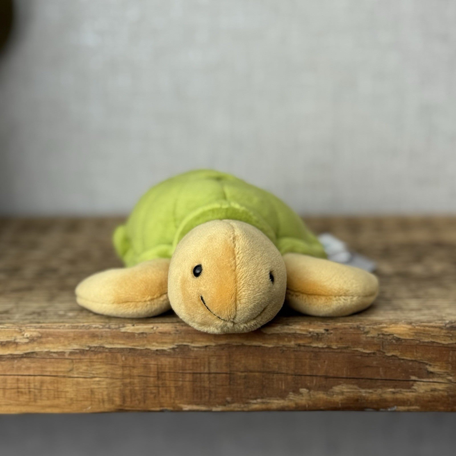 Jellycat Small CeeCee Turtle - Small Green Velour Turtle Beanie retired 6”
