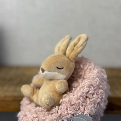 Jellycat Hibernating Bunny- Baby Sleeping Rabbit & Nest Soft Toy Plush Cute 5”