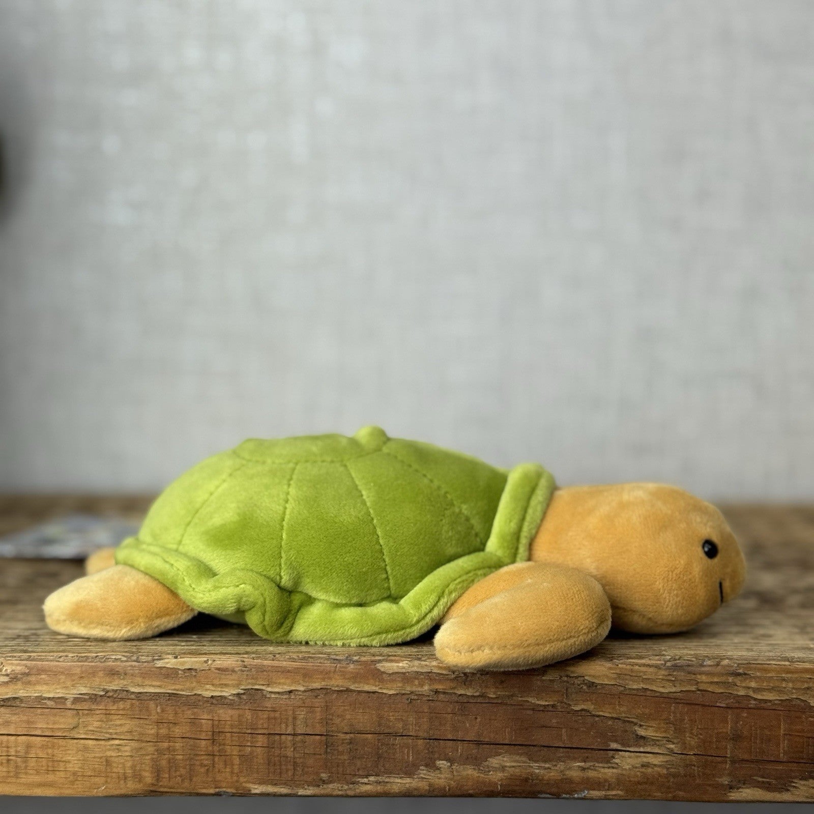 Jellycat Small CeeCee Turtle - Small Green Velour Turtle Beanie retired 6”
