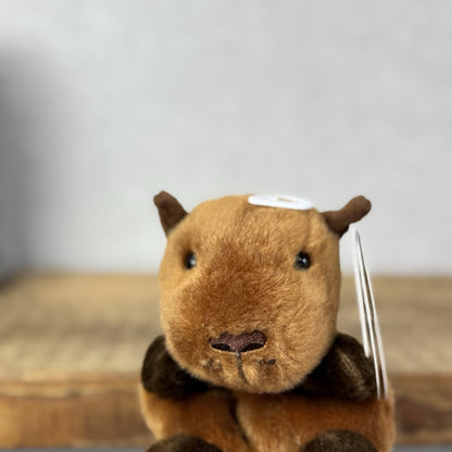 Aurora - Sid Capybara - Palm Pals Mini Beanbag Plush Mini Capybara Plush Toy 5”