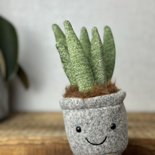 Jellycat Silly Succulent Aloe - Aloe Plant Soft Toy Amuseable Beanie Small 6”