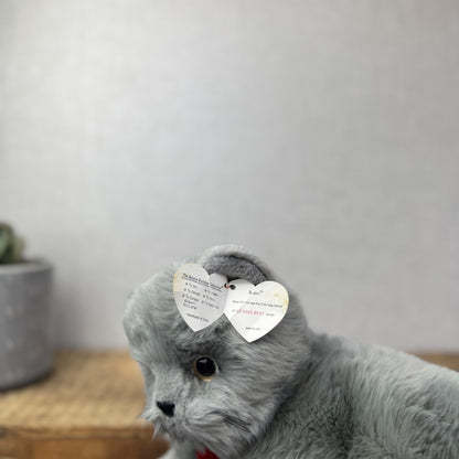 TY Beanie Buddy - BEANI Grey Fluffy Cat (Paper Tag Damaged) Amazing Rare 11"