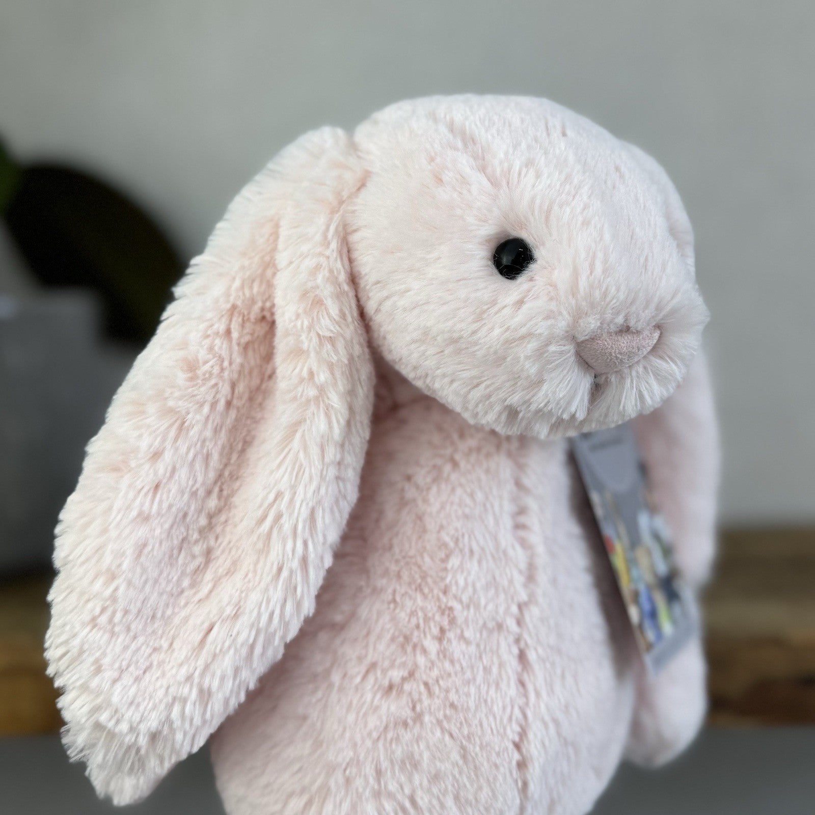 Jellycat Medium Bashful Baby Pink Bunny - Baby Pink Little Jellycat Rabbit 12”