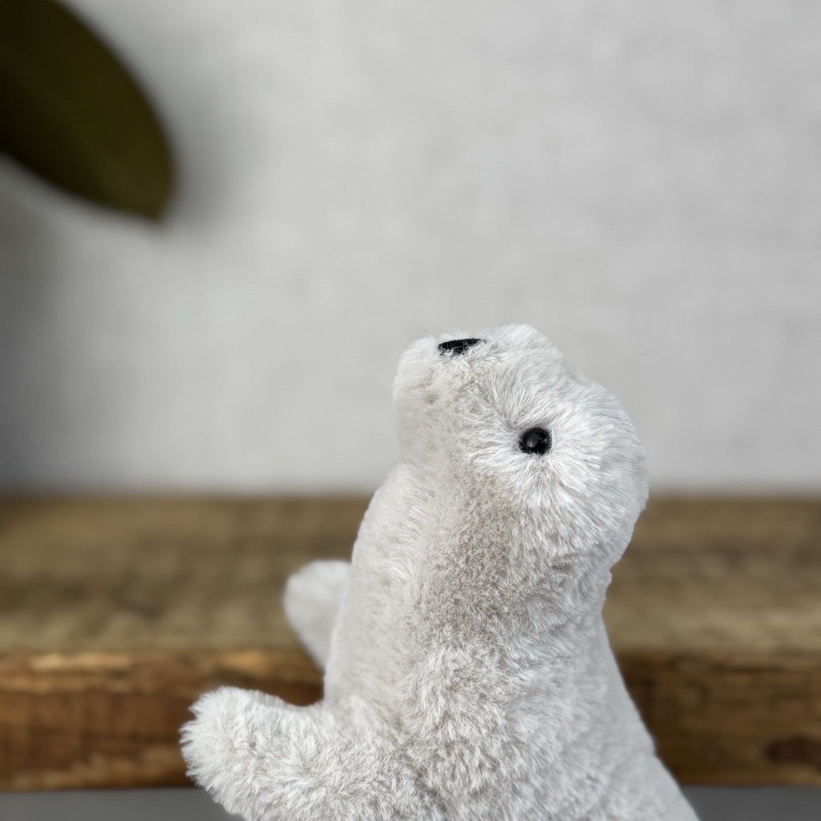Jellycat Diddle Seal - Diddle Collection - Tiny Seal Soft Toy Plush Collectible 
