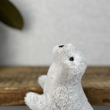 Jellycat Diddle Seal - Diddle Collection - Tiny Seal Soft Toy Plush Collectible 