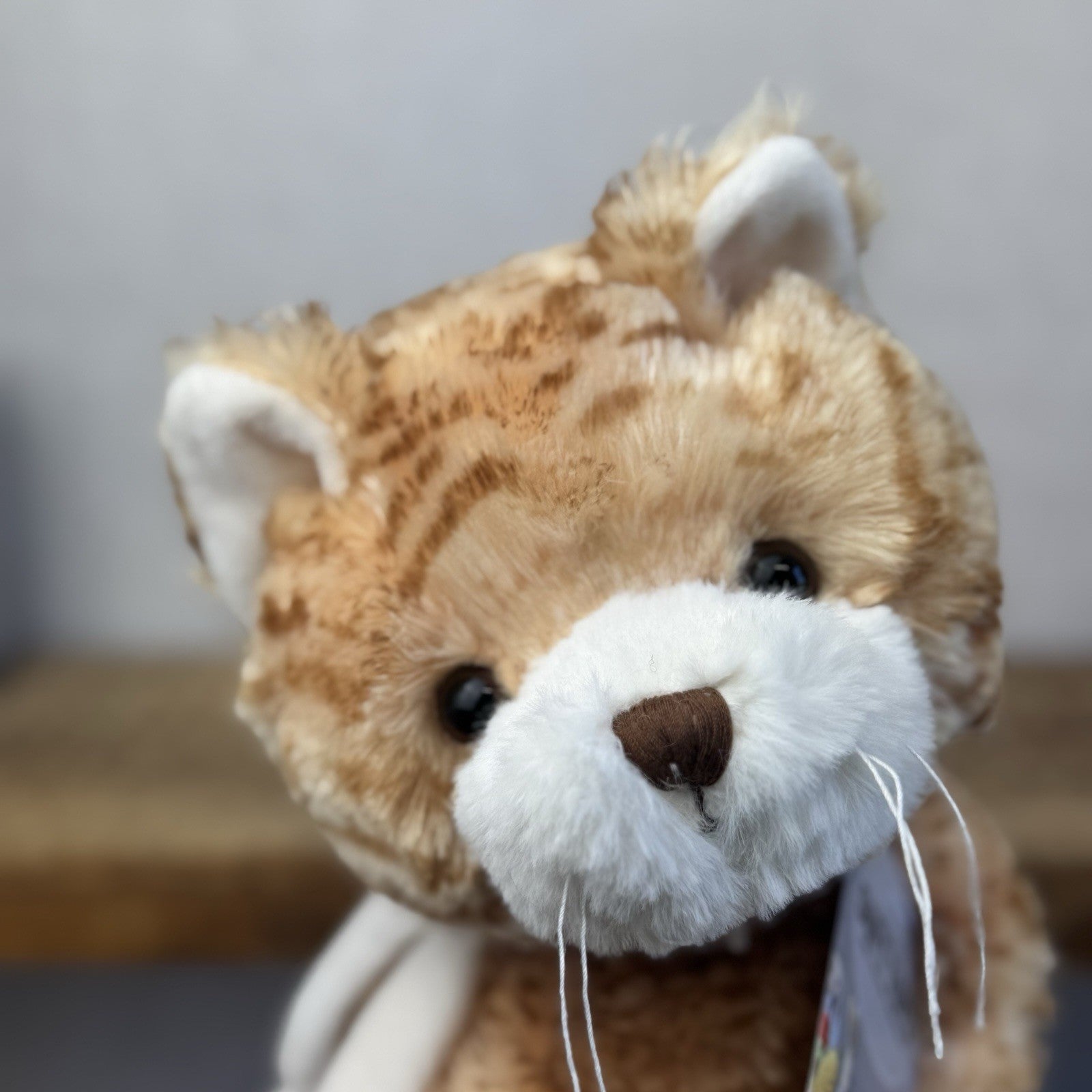 Bukowski Bears - Large Bukowski Great Loki Cat Kitten Large Floppy Ginger Tabby