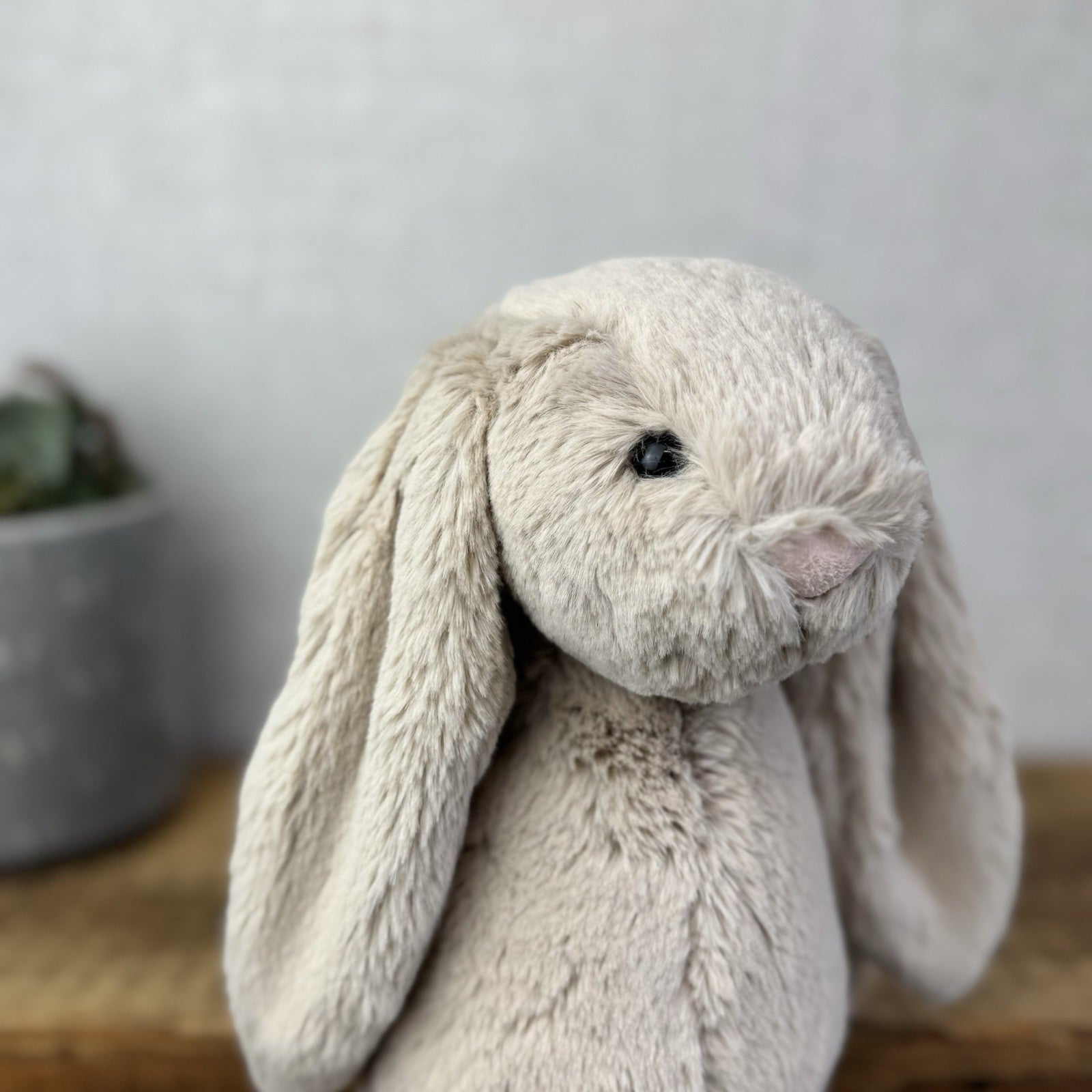 Jellycat Medium Natural Bunny - Little White Company Exclusive Version New Tags