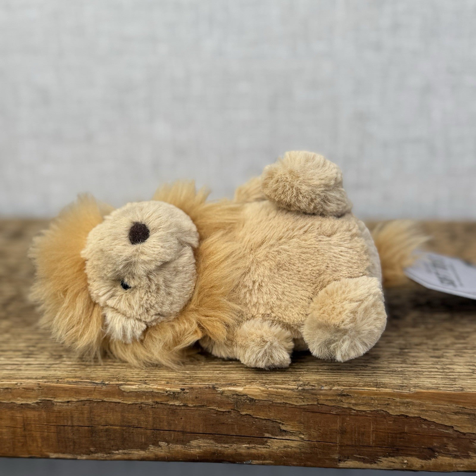 Jellycat Poppet Lion (John Lewis Variation) Small Beanie Lion Soft Toy Rare 5”